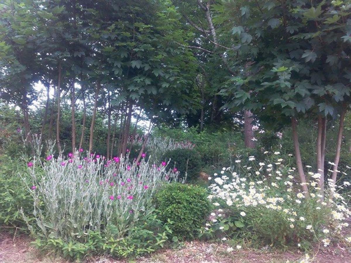 Un Petit Coin De Paradis Gluiras Buitenkant foto